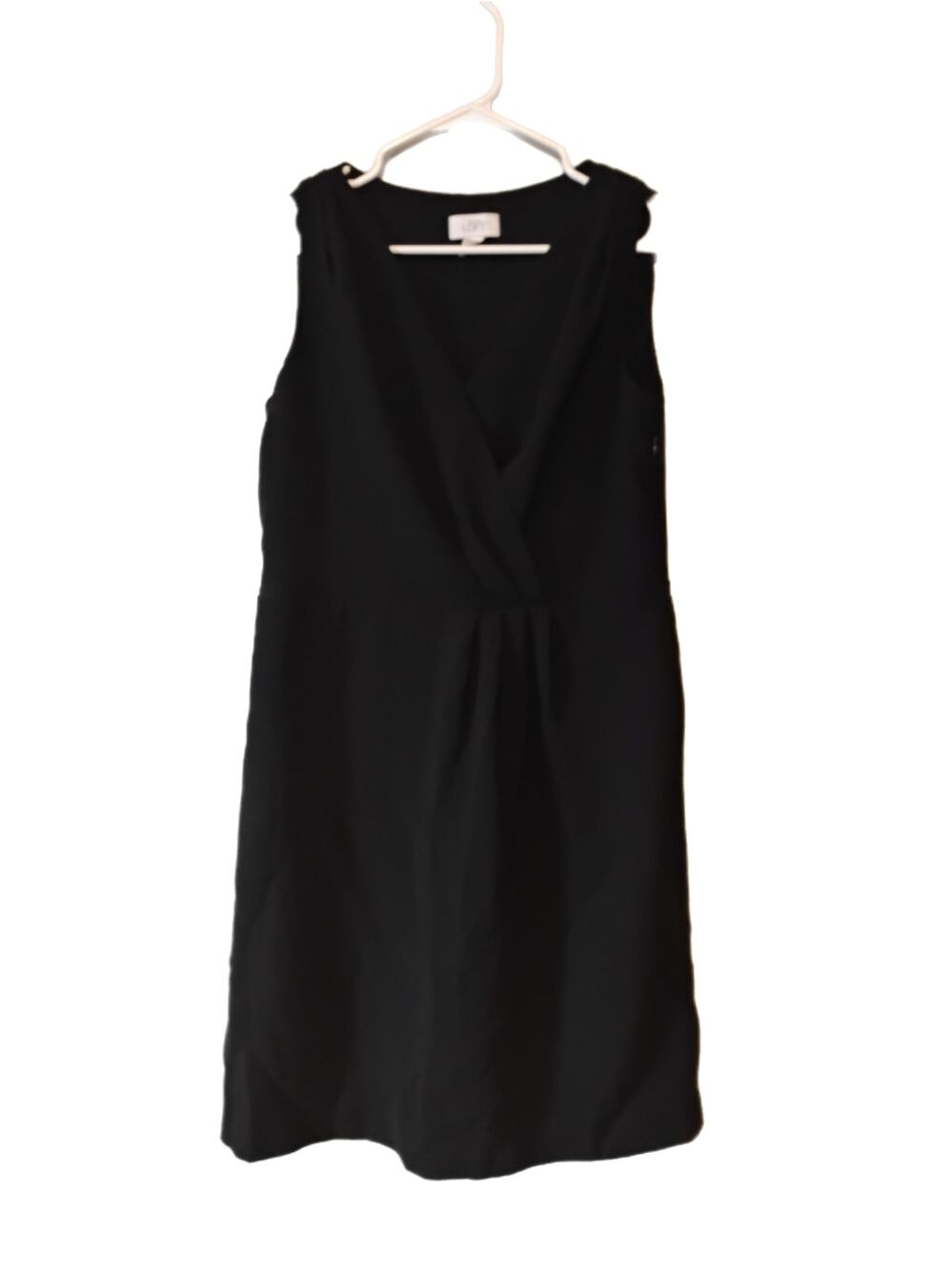 Ann Taylor Women's Dress Size 12